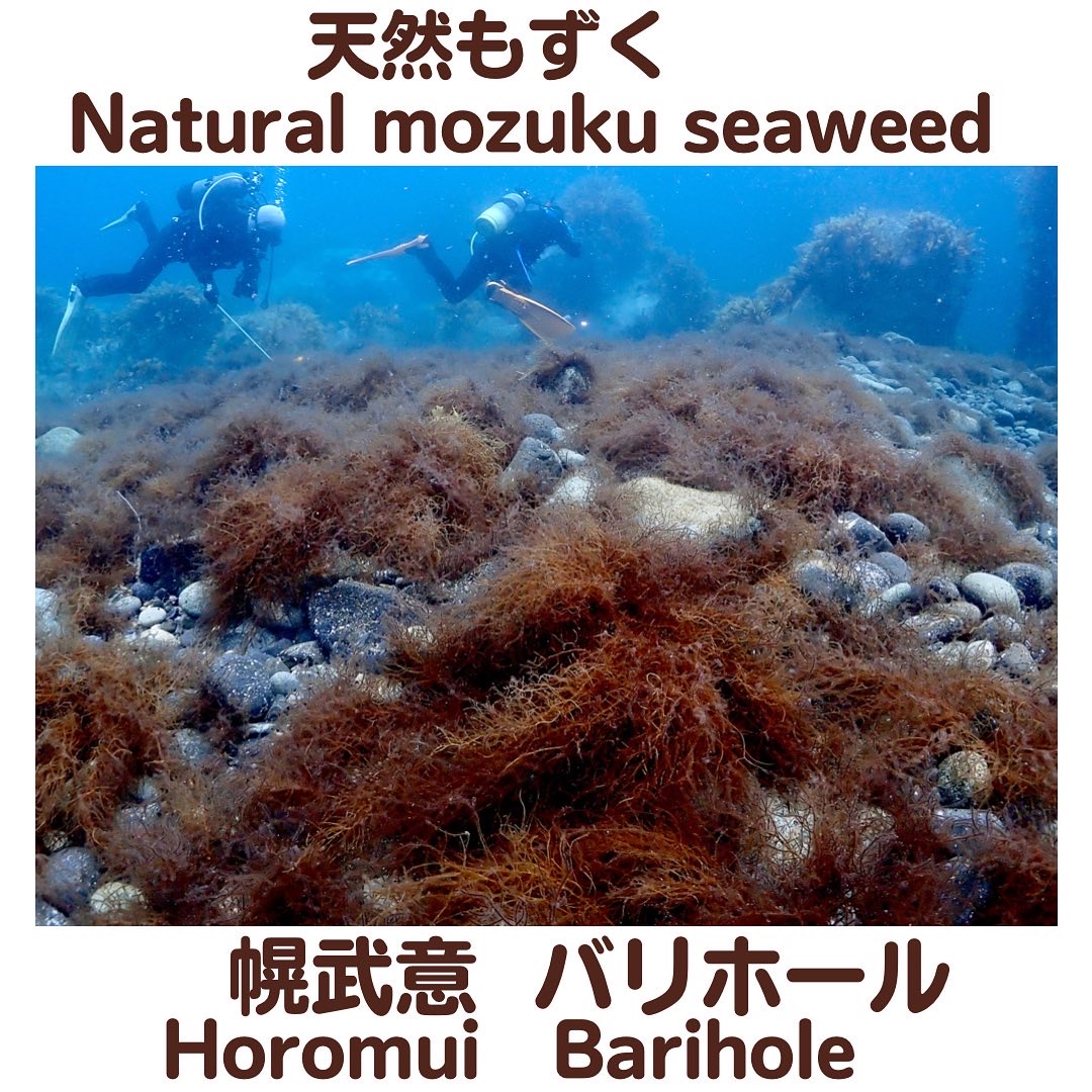Natural mozuku seaweed