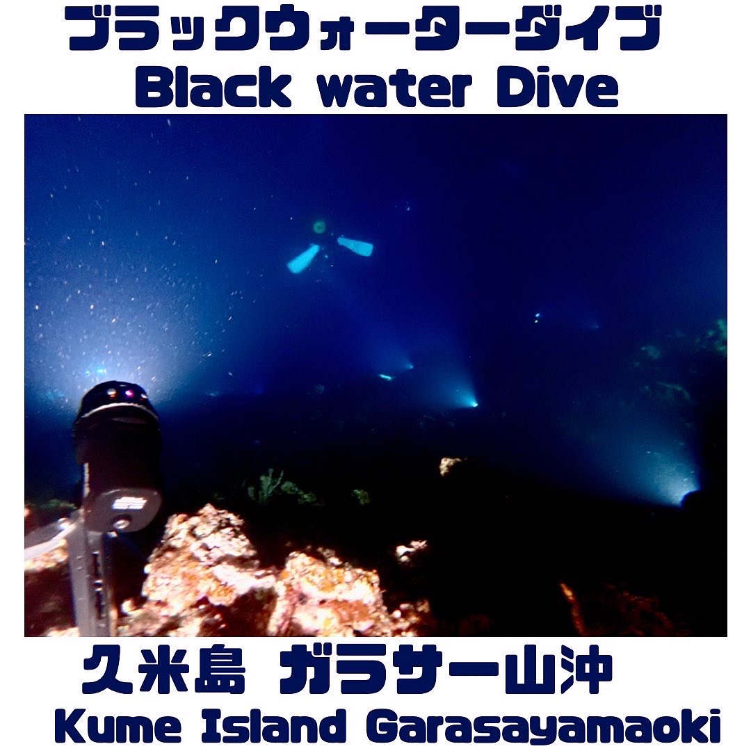 Black Water Dive